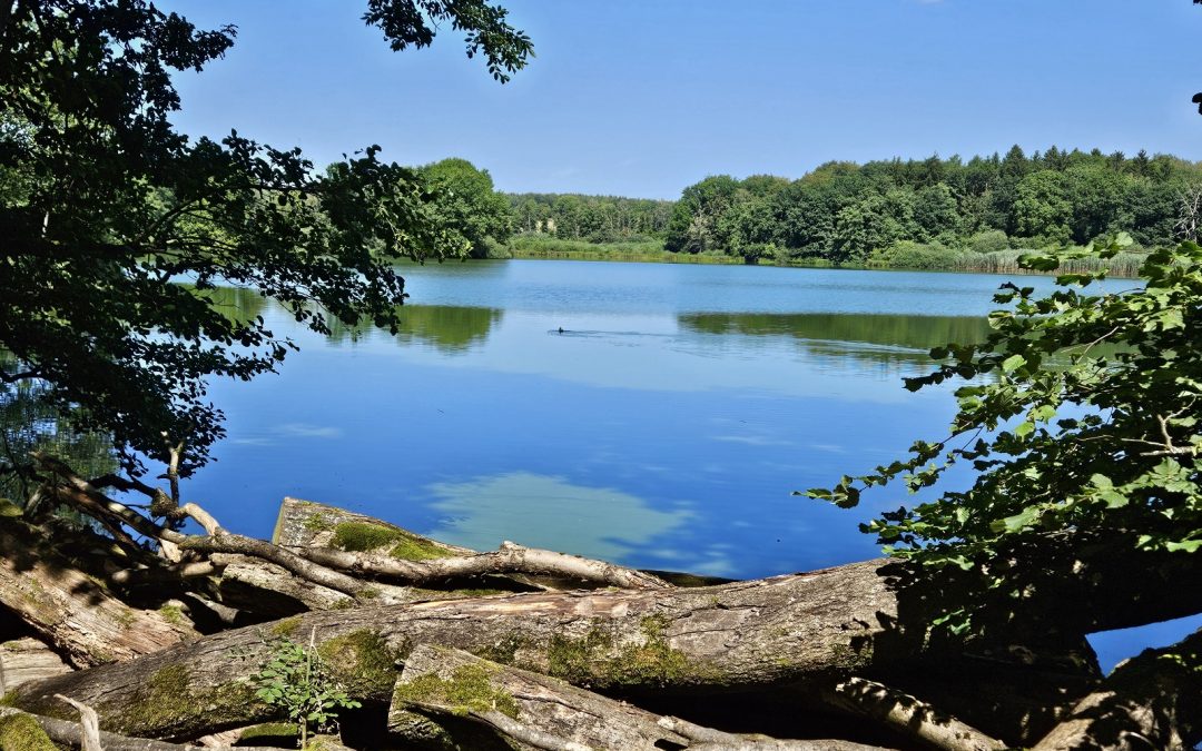 27.-29.07.2026 – Steinebach an der Wied