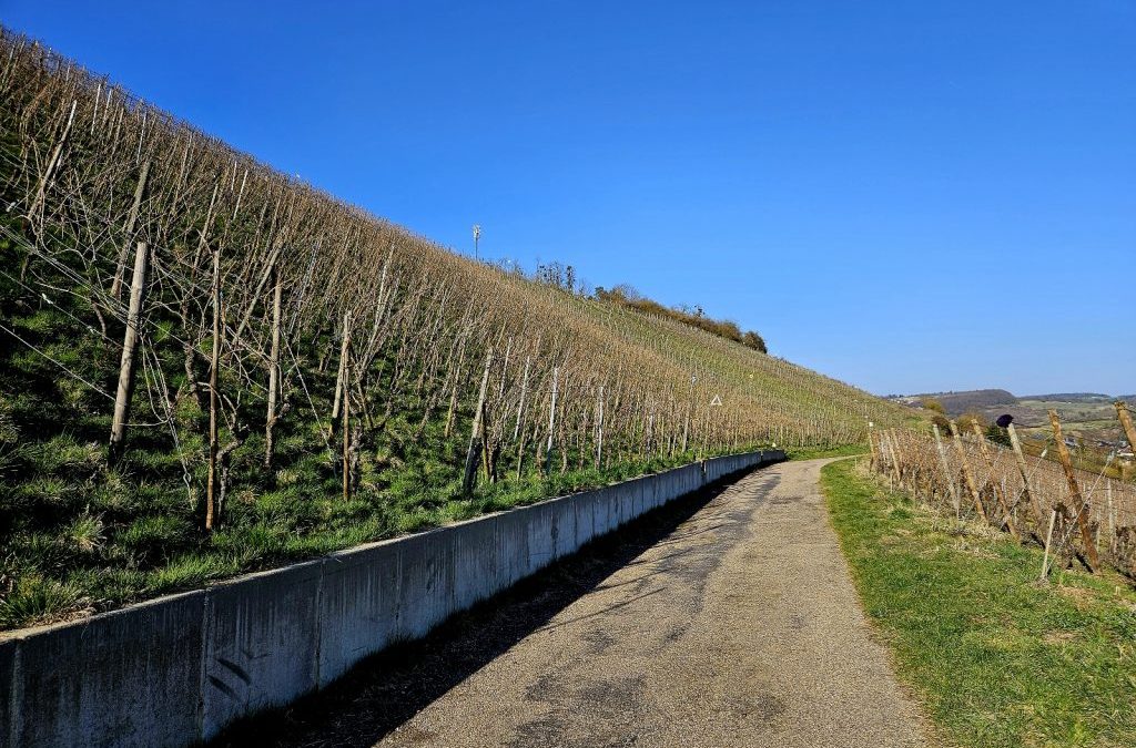 16.03.2025 – Wasserbillig