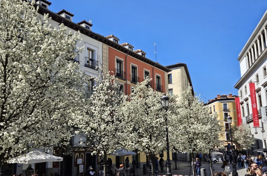 28.-31.03.2025 – Madrid