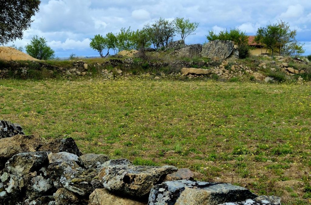 05.04.2025 – Parque Natural do Douro